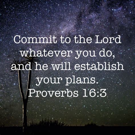 establish to do.